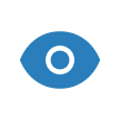 vision_icon