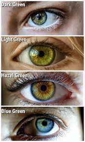 What's special about green eyes? 10 fascinating facts about green eyes