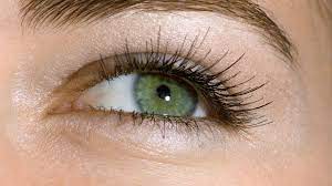 What's special about green eyes? 10 fascinating facts about green eyes