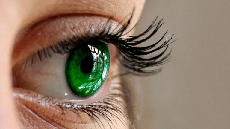 What's special about green eyes? 10 fascinating facts about green eyes