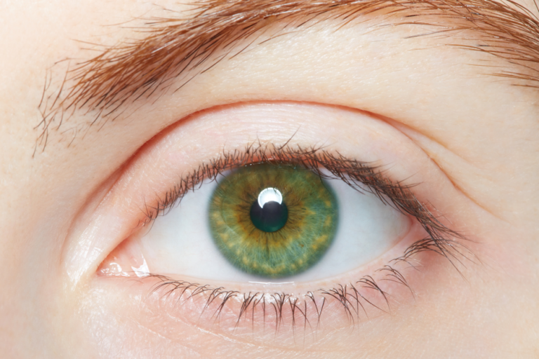 What's special about green eyes? 10 fascinating facts about green eyes