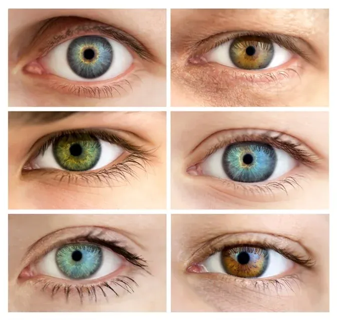 What's special about green eyes? 10 fascinating facts about green eyes