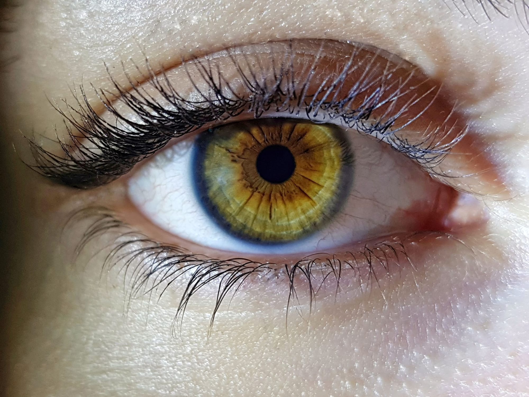 Hazel Eyes