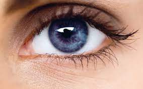 Human Eye Anatomy Common Conditions and Eye Disorders